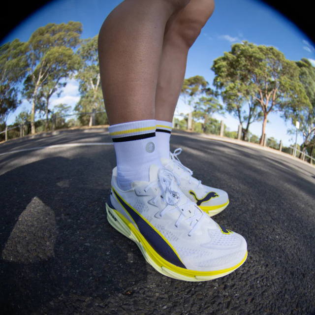 SHYU - Racing Socks - White/Black/Honey (Lifestyle)